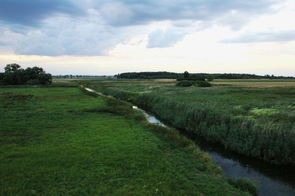 Na zdjęciu łąki nad Huczwą