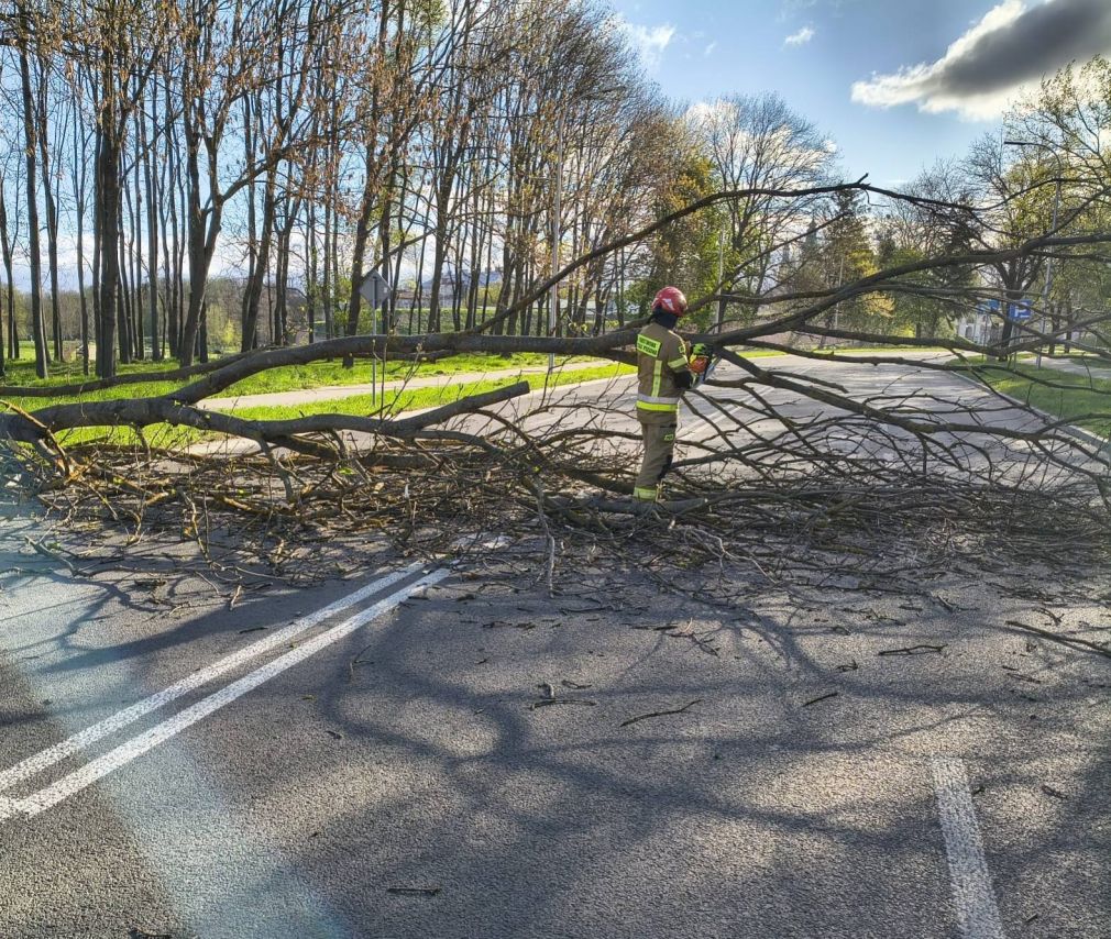 foto: PSP Zamość