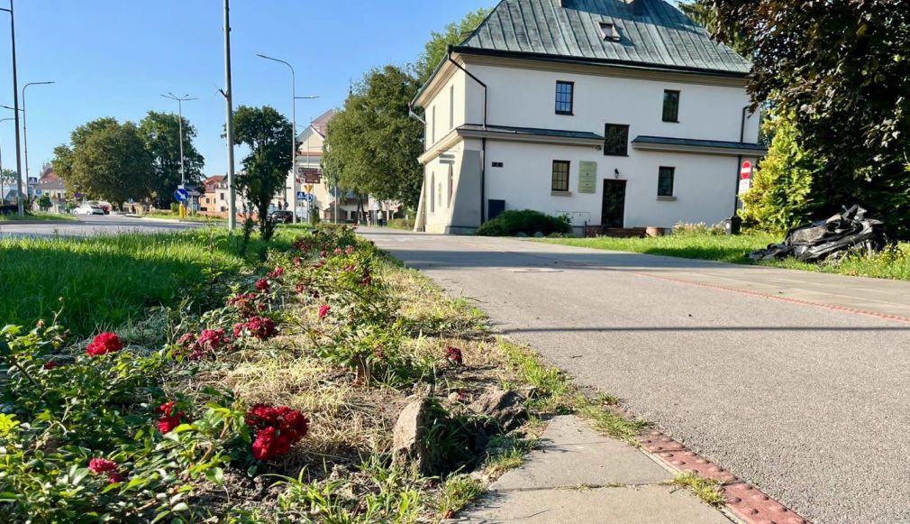 foto: UM Zamość