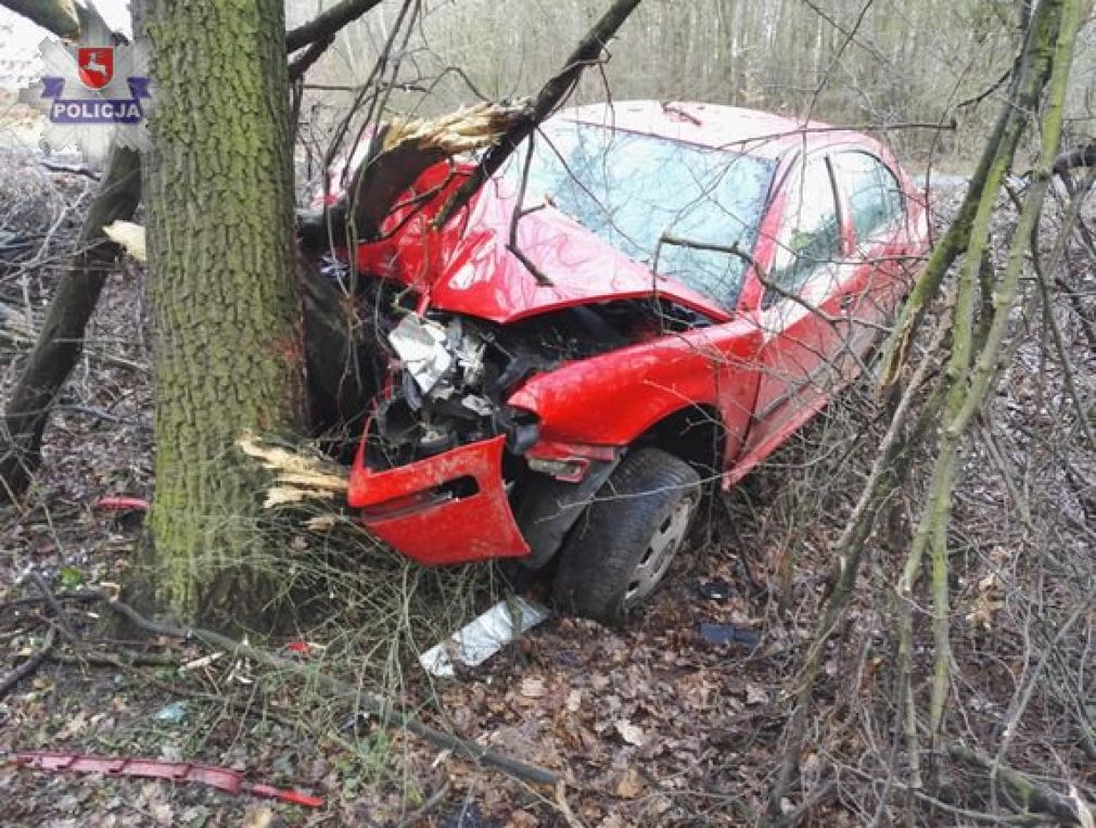  Pijany 19-latek i skoda na drzewie, foto: Policja