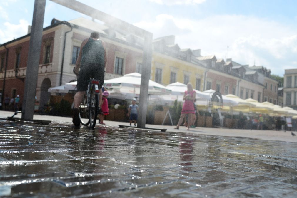 foto: archiwum, materiał poglądowy
