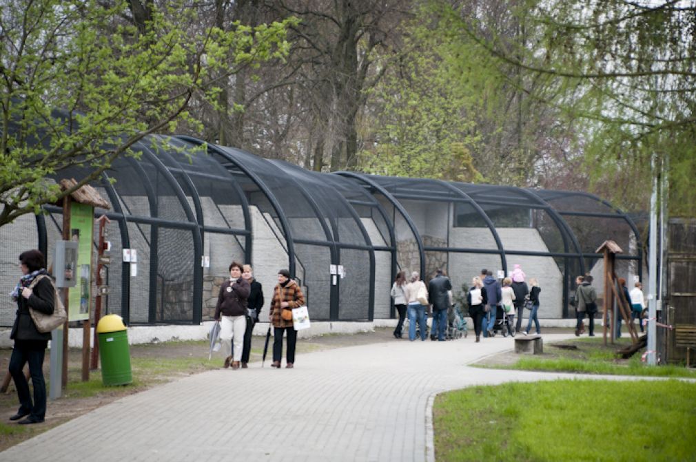1500 osób odwiedziło zamojskie ZOO w ostatni weekend, fot. Szymon Łyciuk (archiwum, zdjęcie poglądowe)