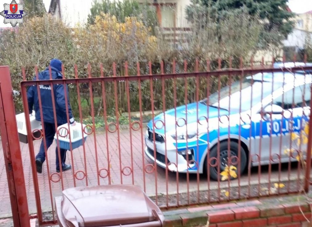 foto: Policja