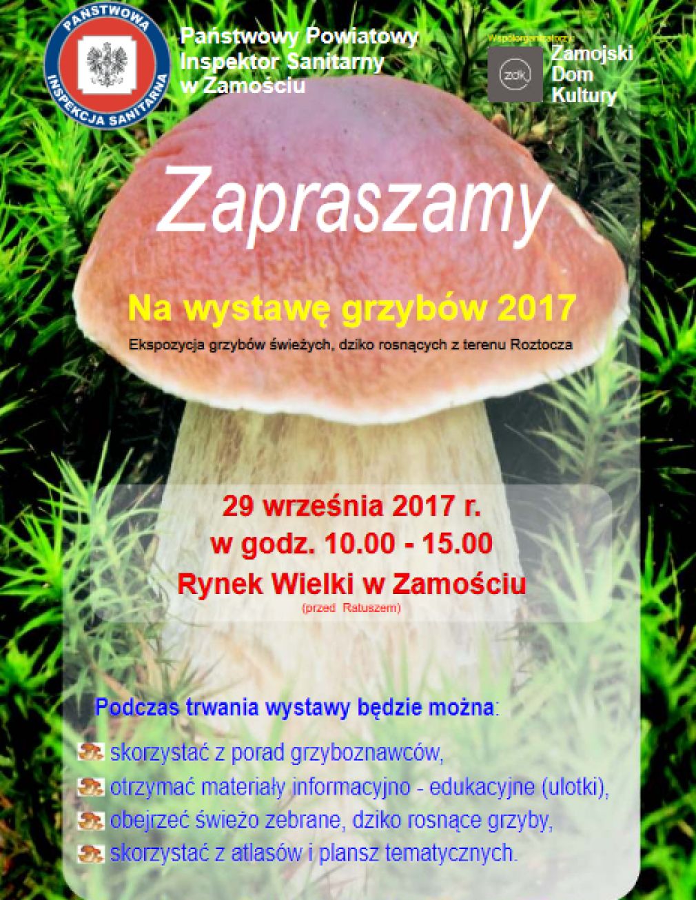 Grafika, foto: materiał nadesłany
