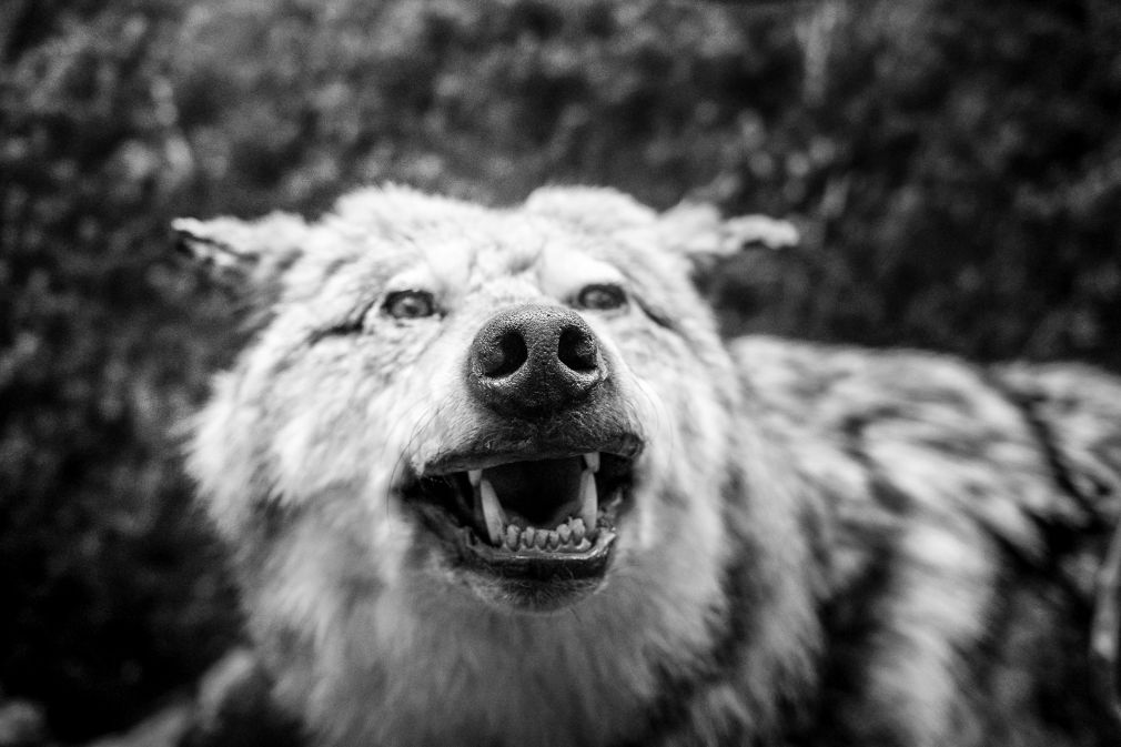 foto: materiał nadesłany