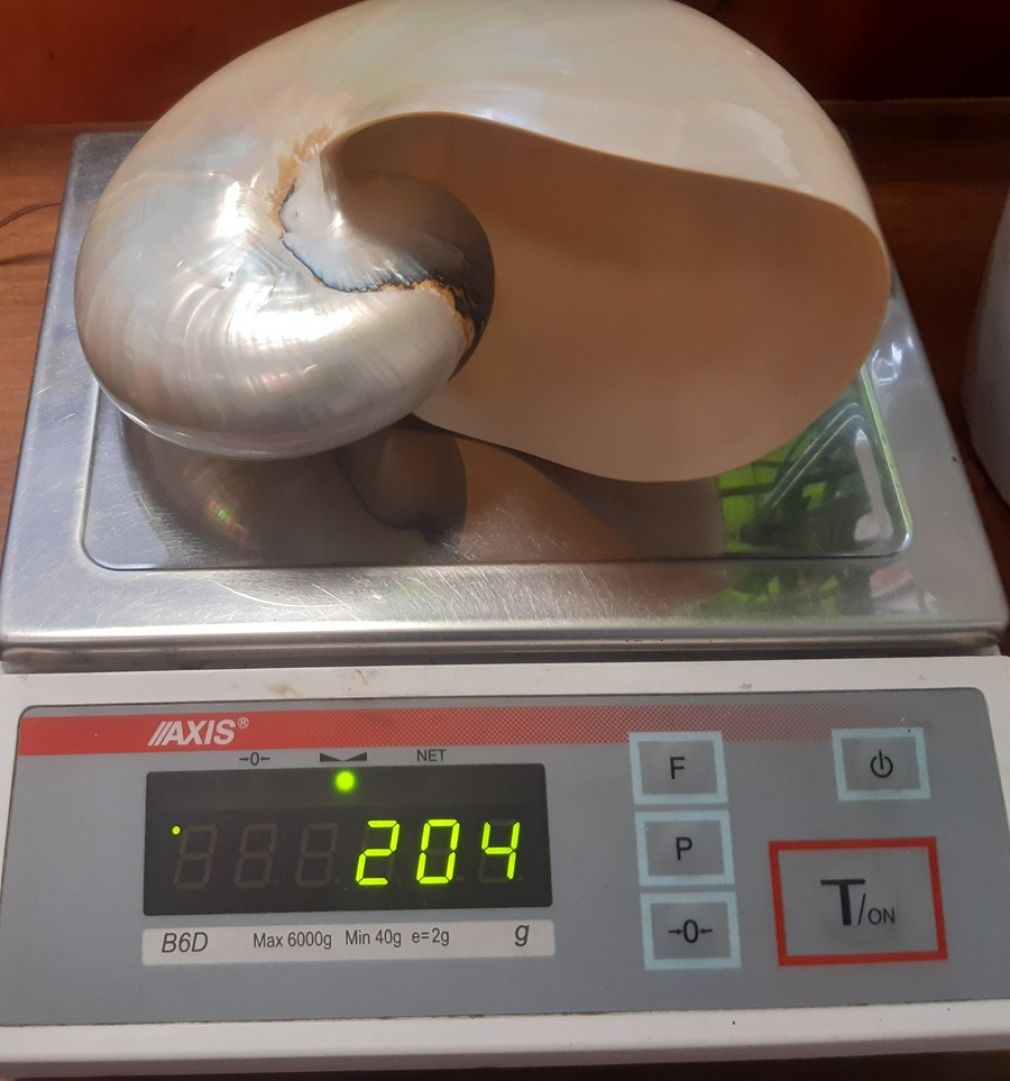 foto: materiał nadesłany
