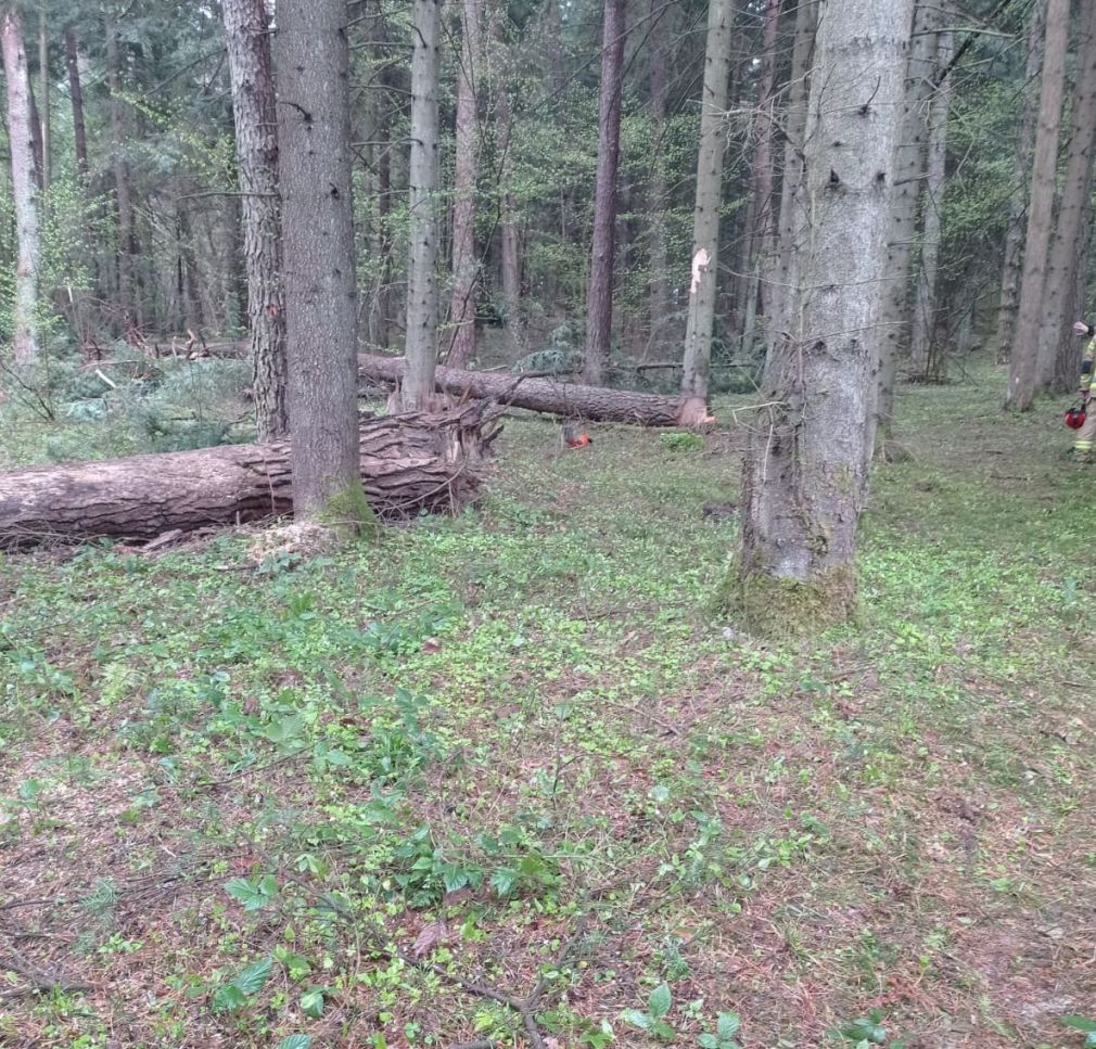 foto: Policja