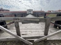 foto: UM Zamość
