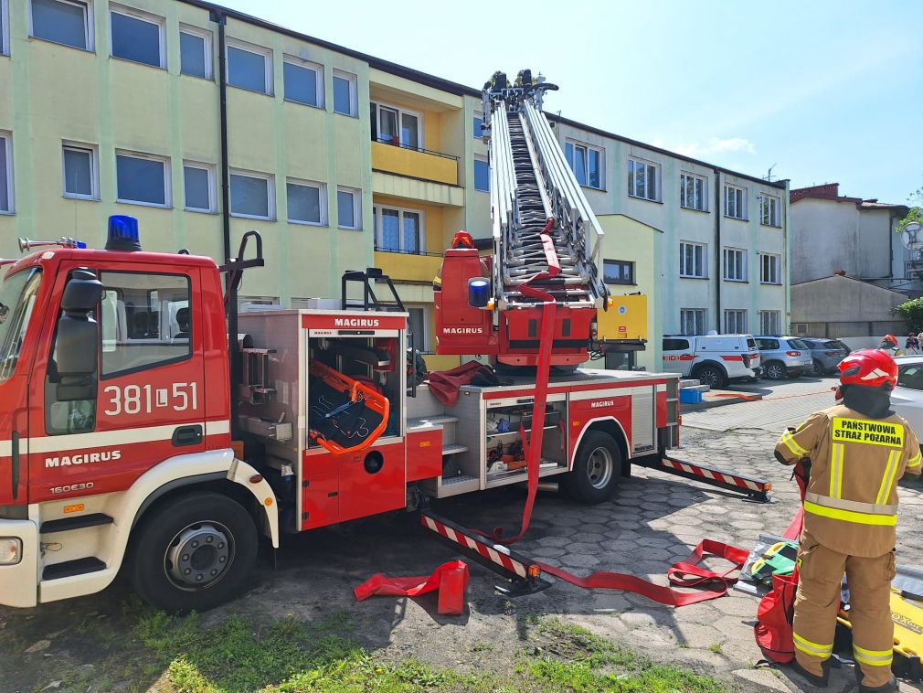 foto: materiał nadesłany