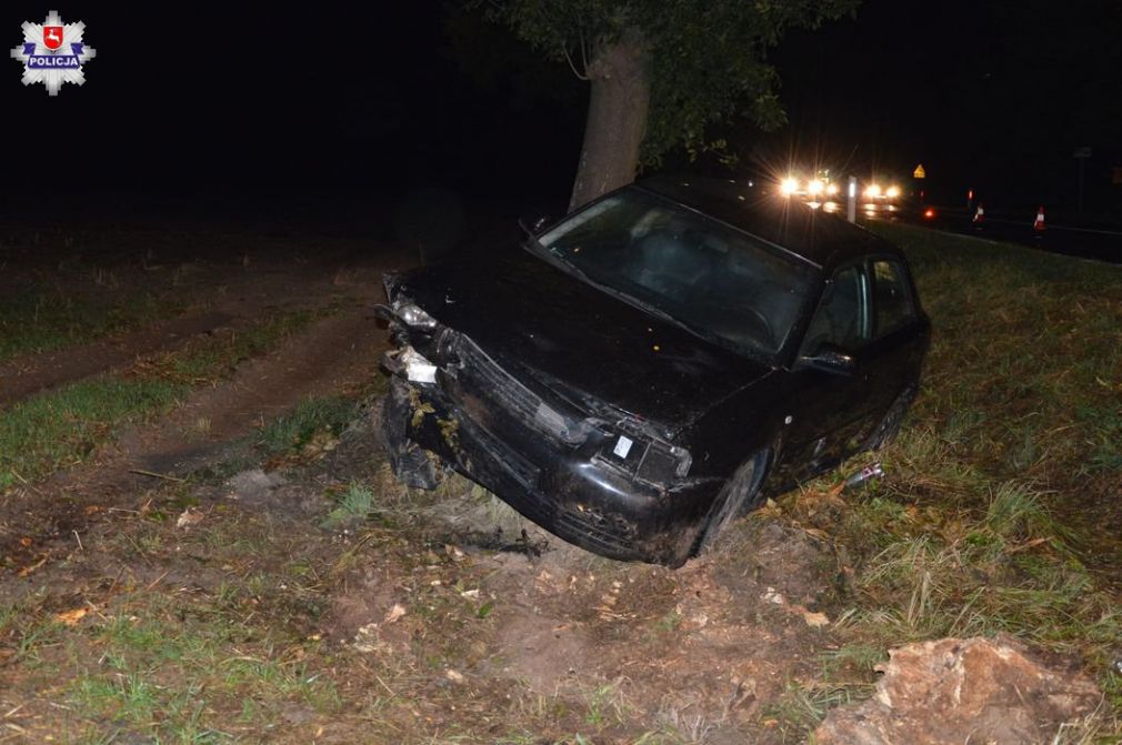 Do wypadku doszło na trasie Podhucie-Wieprzów, foto: Policja