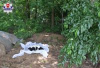 36 letni sąsiad kobiety widząc ranne zwierzę postanowił je dobić a następnie zakopać, foto: Policja