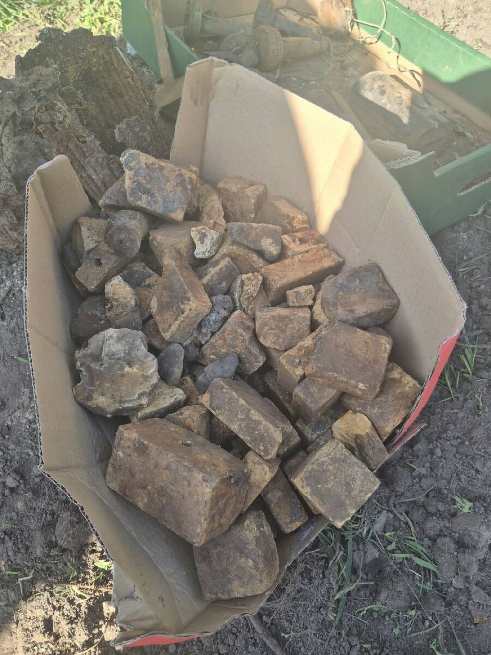 foto: Policja