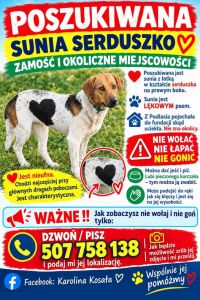 Plakat, materiał nadesłany