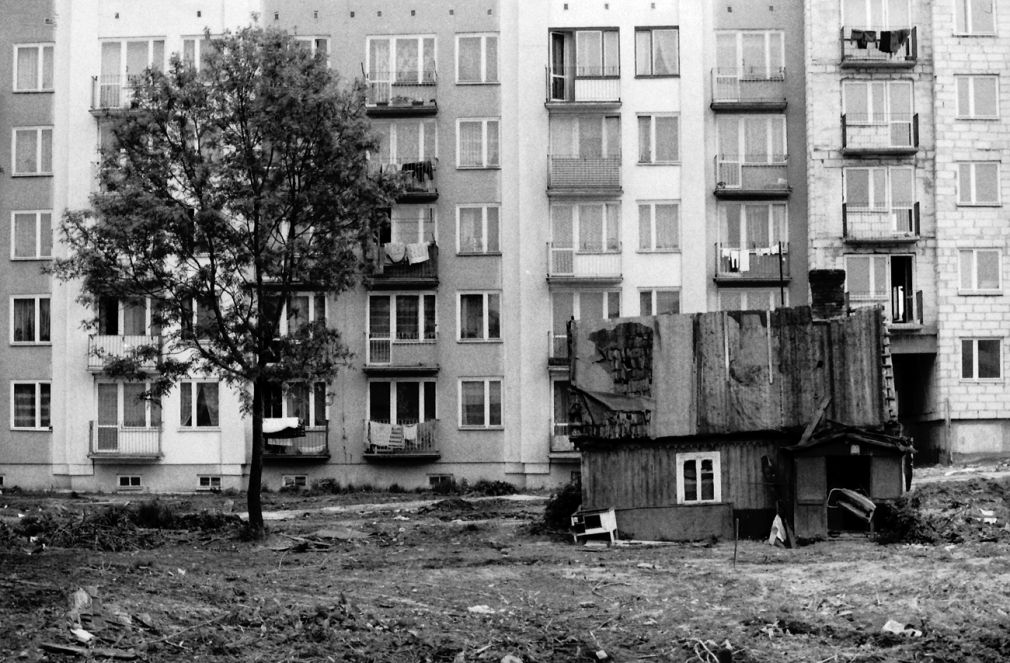 foto: materiał nadesłany