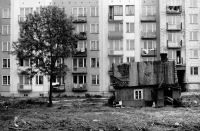 foto: materiał nadesłany