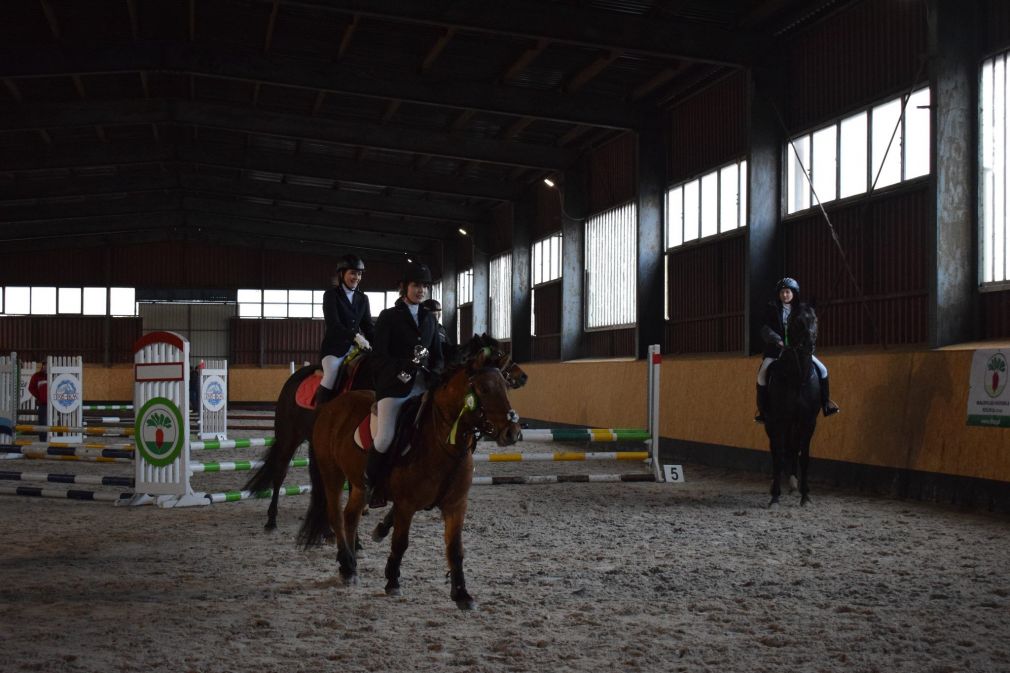 Stadnina Koni w Białce zaprasza na ferie w siodle, foto: materiał nadesłany