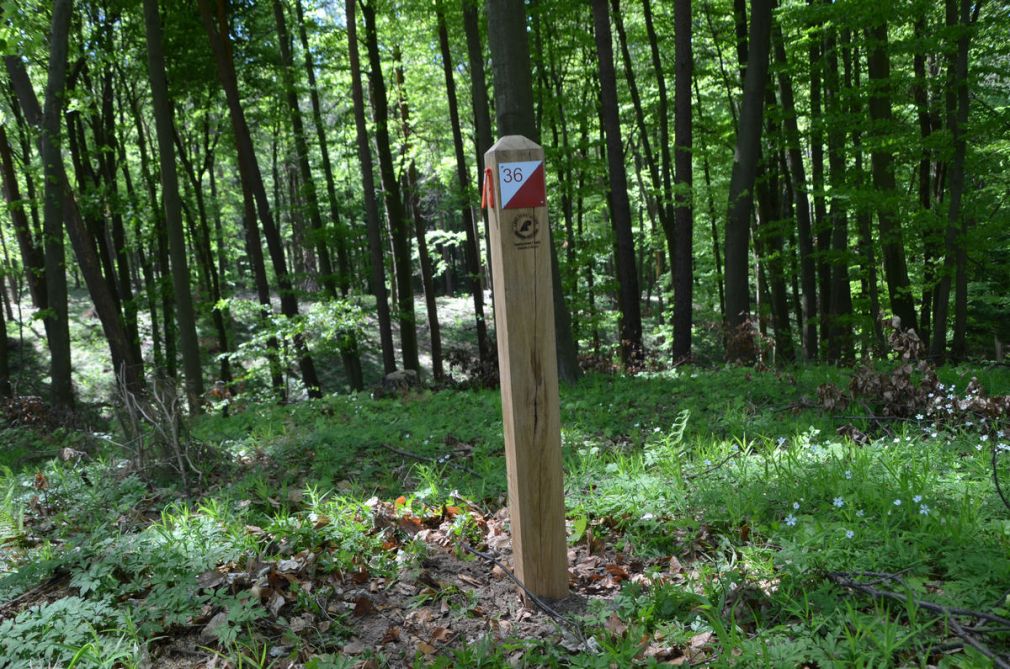 foto: materiał nadesłany