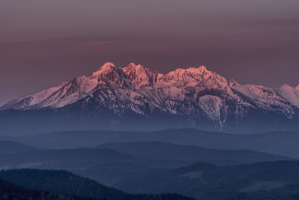 foto: materiał nadesłany