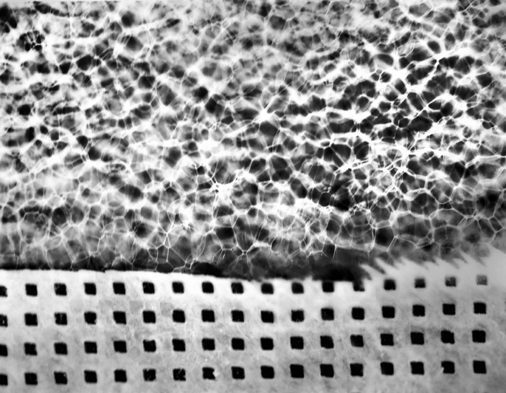 foto: materiał nadesłany