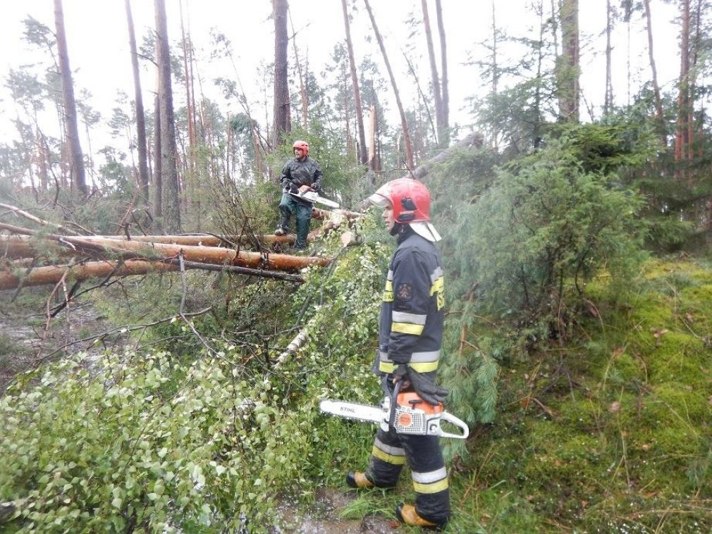 Strażacy prowadzili też prace porządkowe wzdłuż drogi krajowej, foto: PSP Zamość, materiał nadesłany