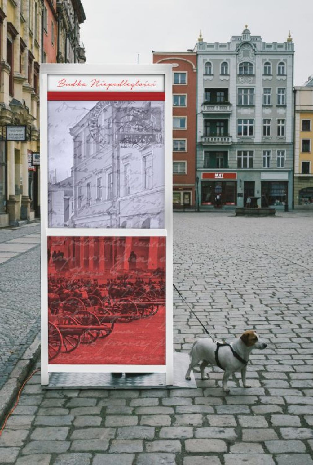 foto: UM Zamość