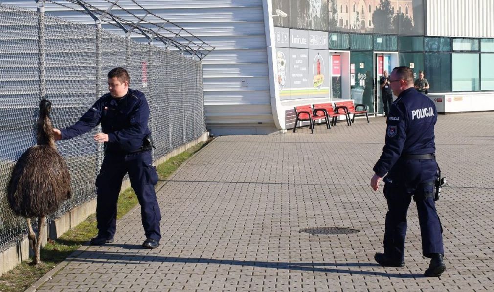 foto: Policja
