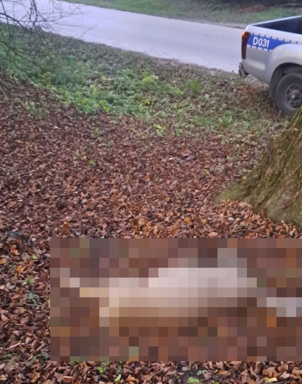 foto: Policja