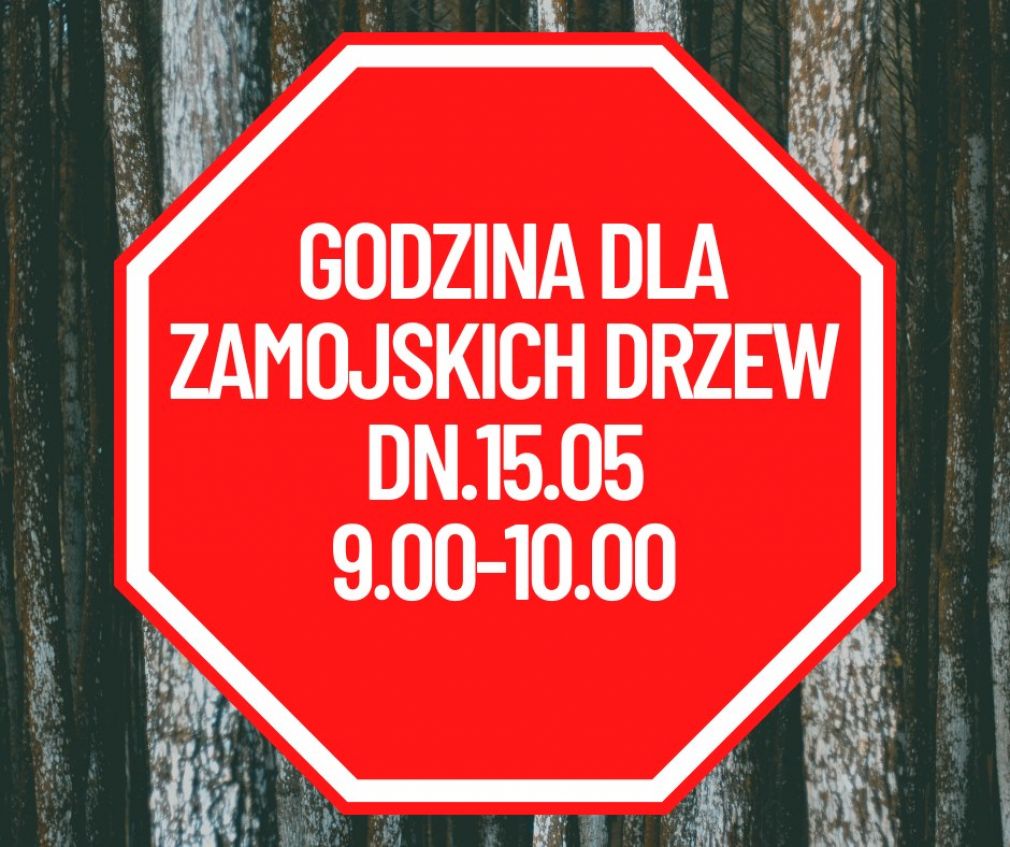 foto: materiał nadesłany