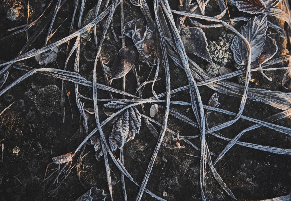 foto: materiał nadesłany