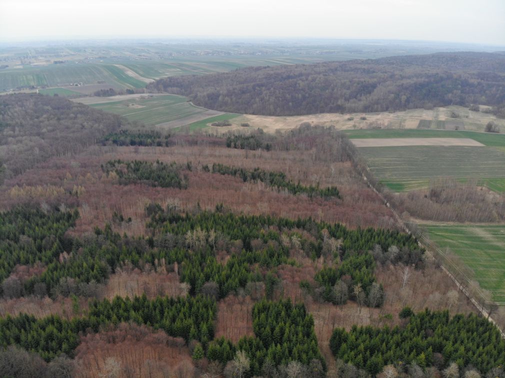 foto: archiwum, materiał poglądowy