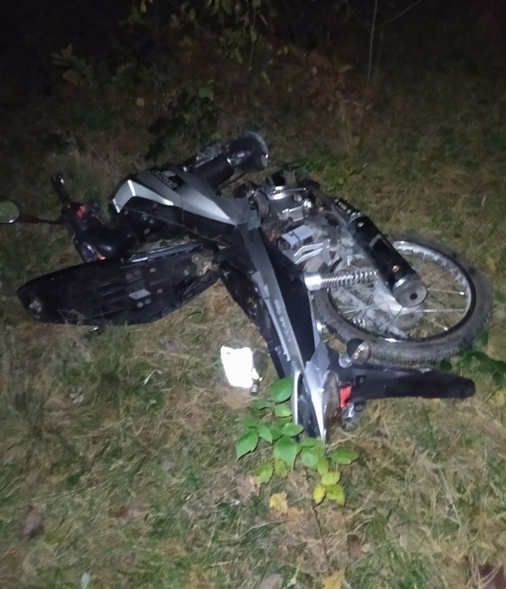 foto: Policja