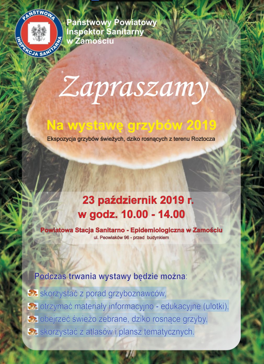 foto: materiał nadesłany