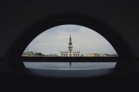 Magistrat wybrał nowego kierownika Biura Ochrony Środowiska i Zieleni Miejskiej, fot. Szymon Łyciuk (archiwum, zdjęcie poglądowe)