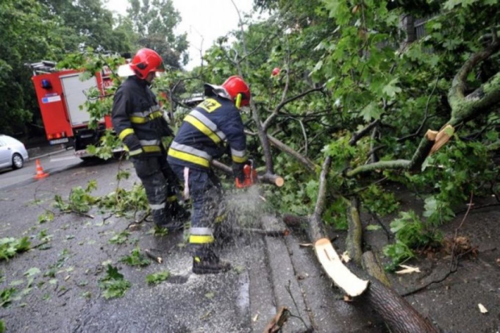 foto: archiwum, materiał poglądowy