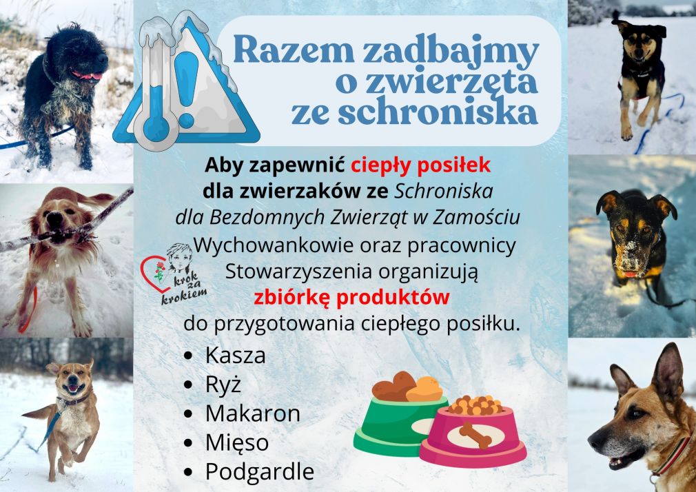 Plakat, materiał nadesłany