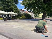 foto: UM Zamość