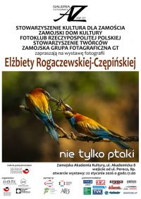 Plakat, materiał nadesłany